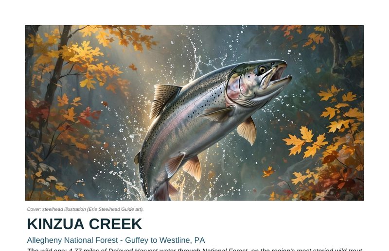 Keystoned Steel — Kinzua Creek deep-dive guide cover