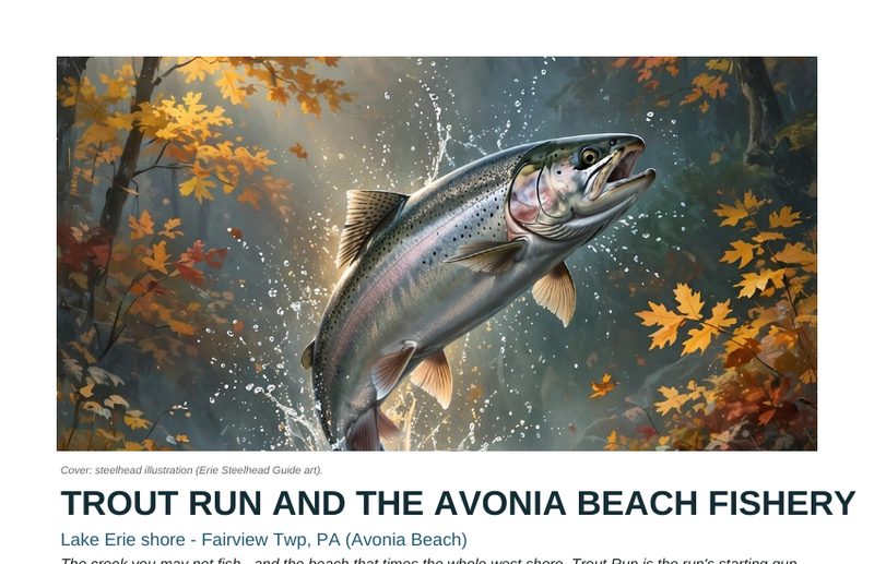 Keystoned Steel — Trout Run and the Avonia Beach Fishery deep-dive guide cover