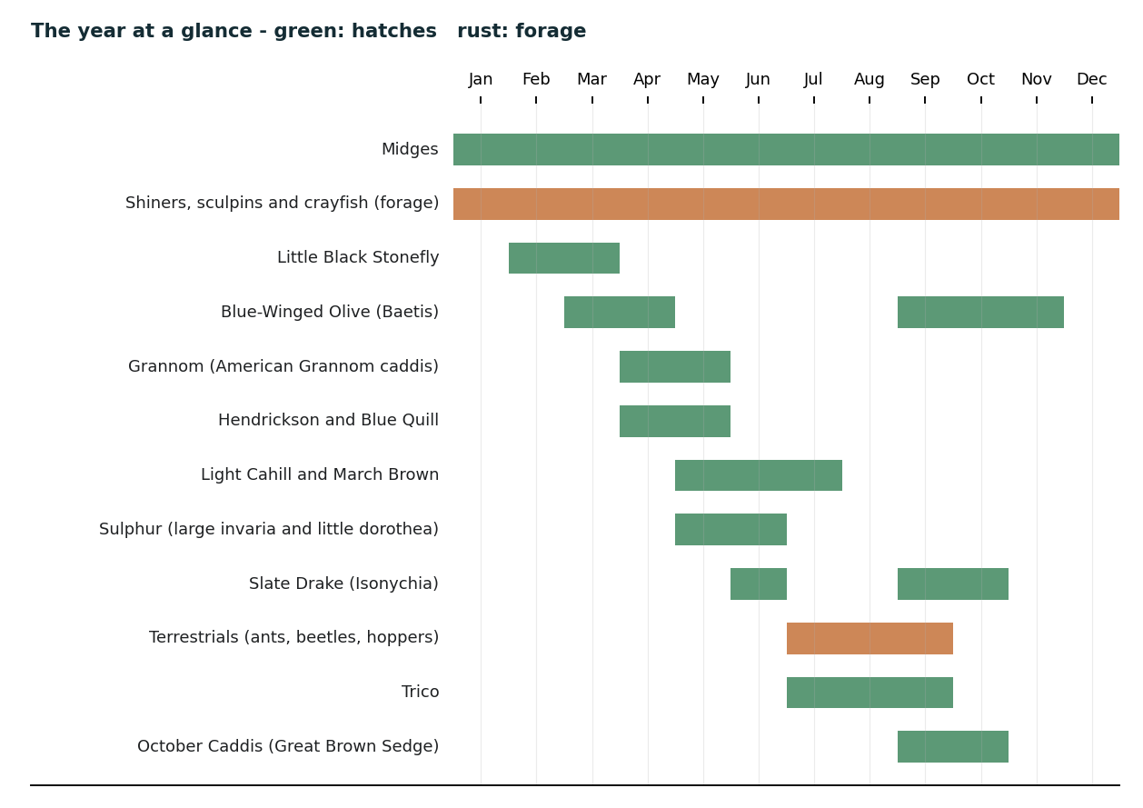 Pine Creek — the year at a glance: hatch and forage chart from the deep-dive guide